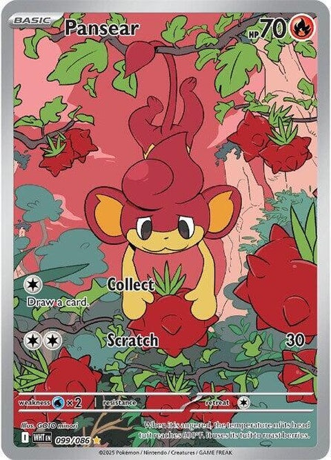 Pansear (99)
