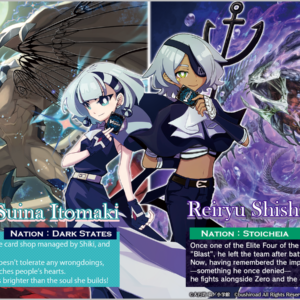 Cardfight!! Vanguard - Chasm of Lost Souls - Display Case (20x Booster Boxes) (2nd Edition), image 4