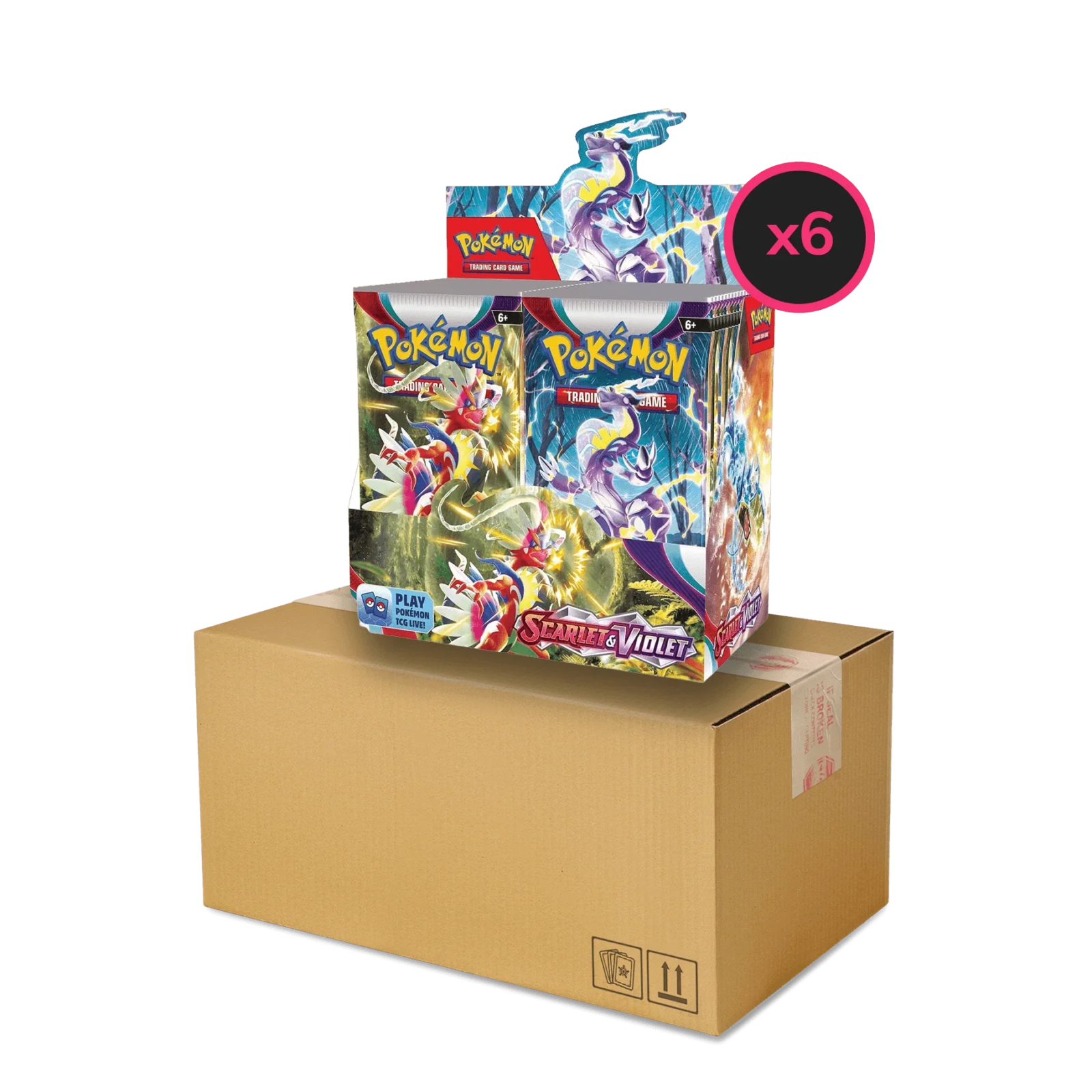 pokemon-tcg-scarlet-and-violet-base-set-display-case-6x-booster-boxes-the-card-vault-1-scaled-1 Pokemon TCG - Scarlet & Violet - Base Set - Display Case (6x Booster Boxes)