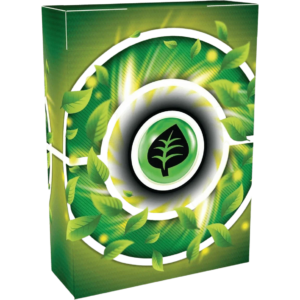 Pokemon TCG - Scarlet & Violet - Deluxe Battle Decks - Meowscarada ex & Quaquaval ex Bundle, image 5